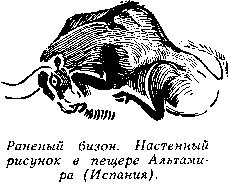 У художника острый взгляд